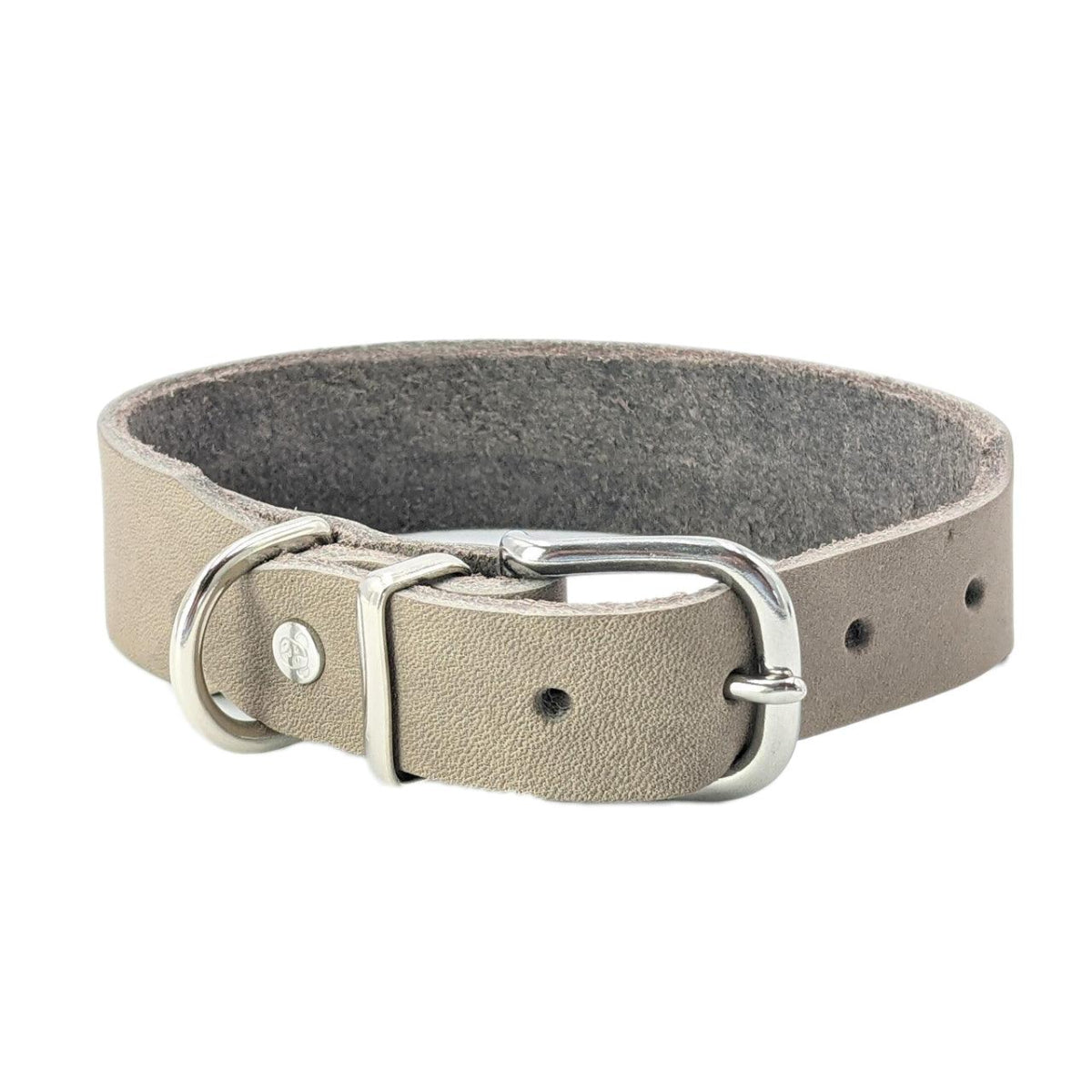 Collier pour chien élégant - GIRO - Kasibe