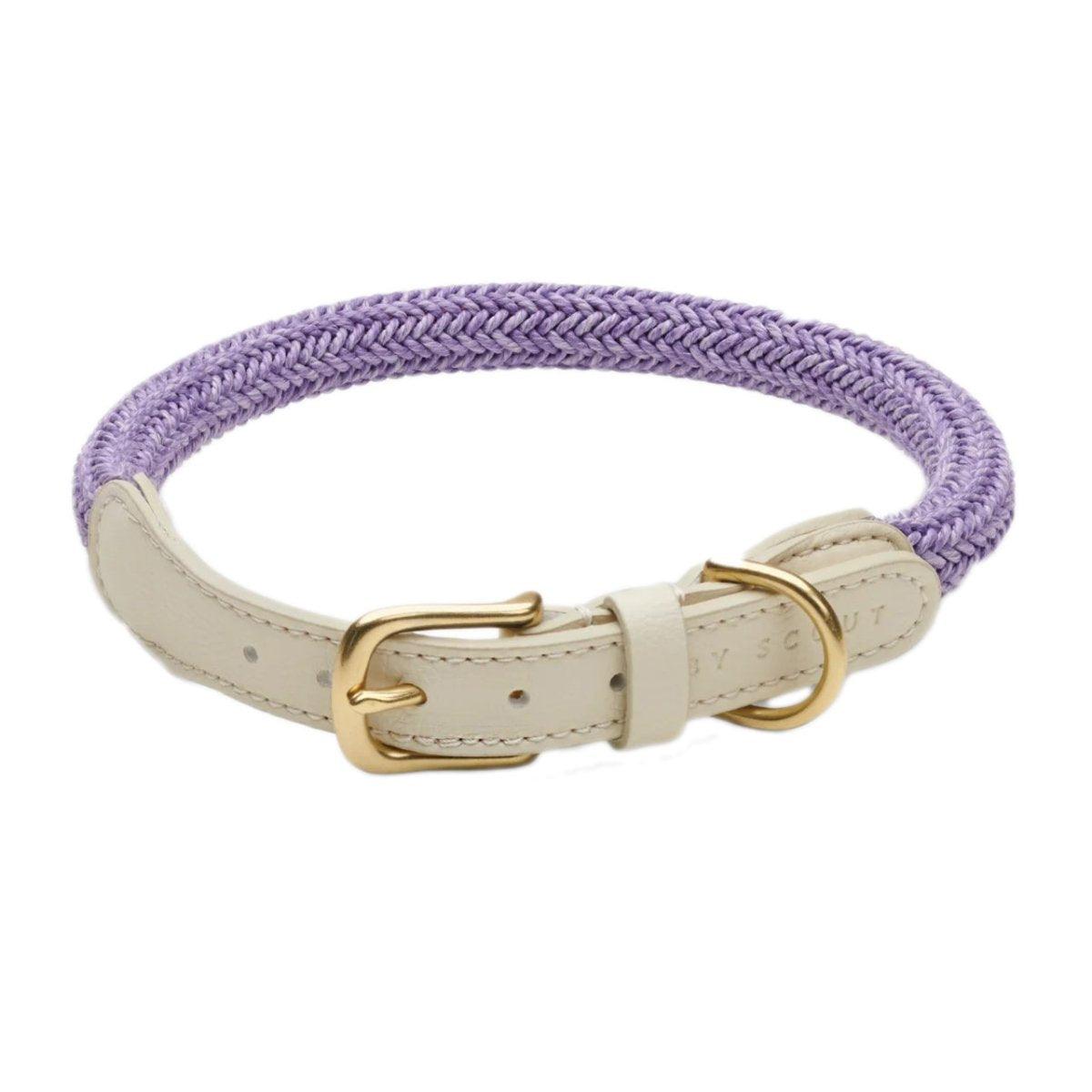 Collier pour chien en corde tressée - EVERY - Kasibe