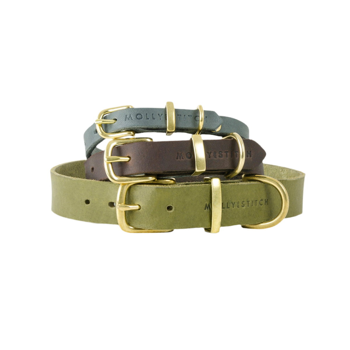 Collier pour chien en cuir - BUTTER - Kasibe