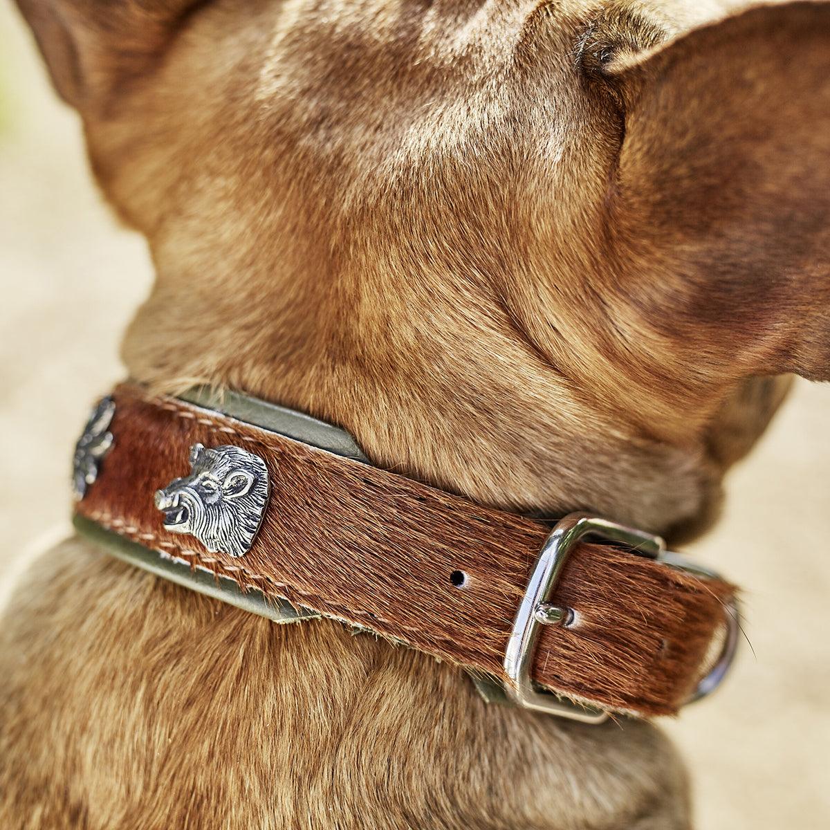 Collier pour chien en cuir décoré - SWISS - Kasibe