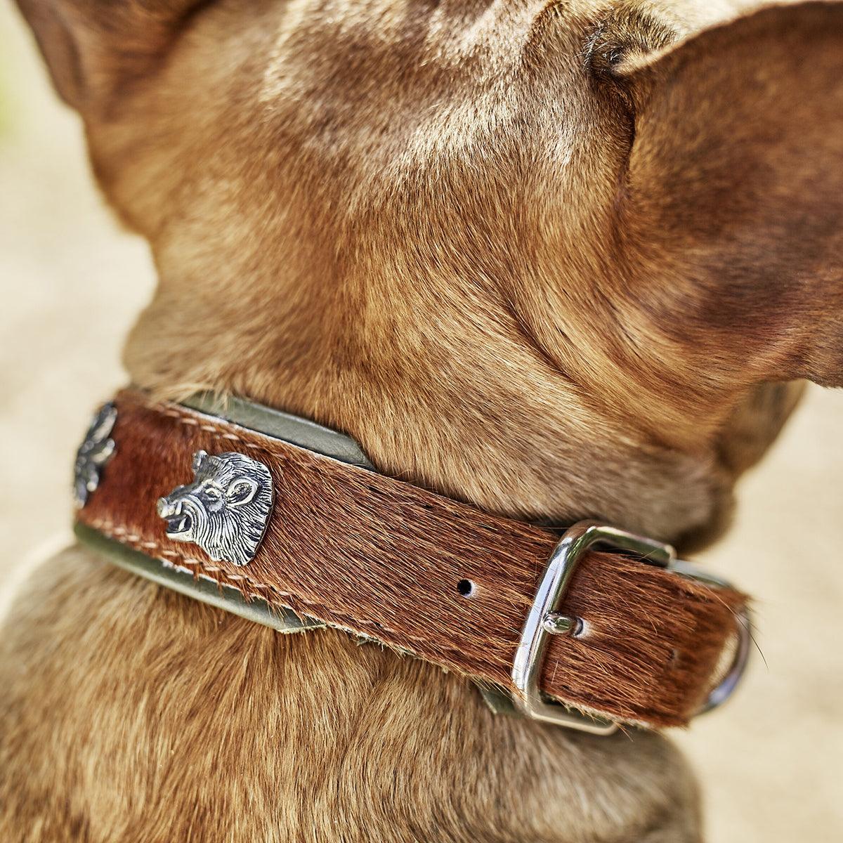 Collier pour chien en cuir décoré - SWISS - Kasibe