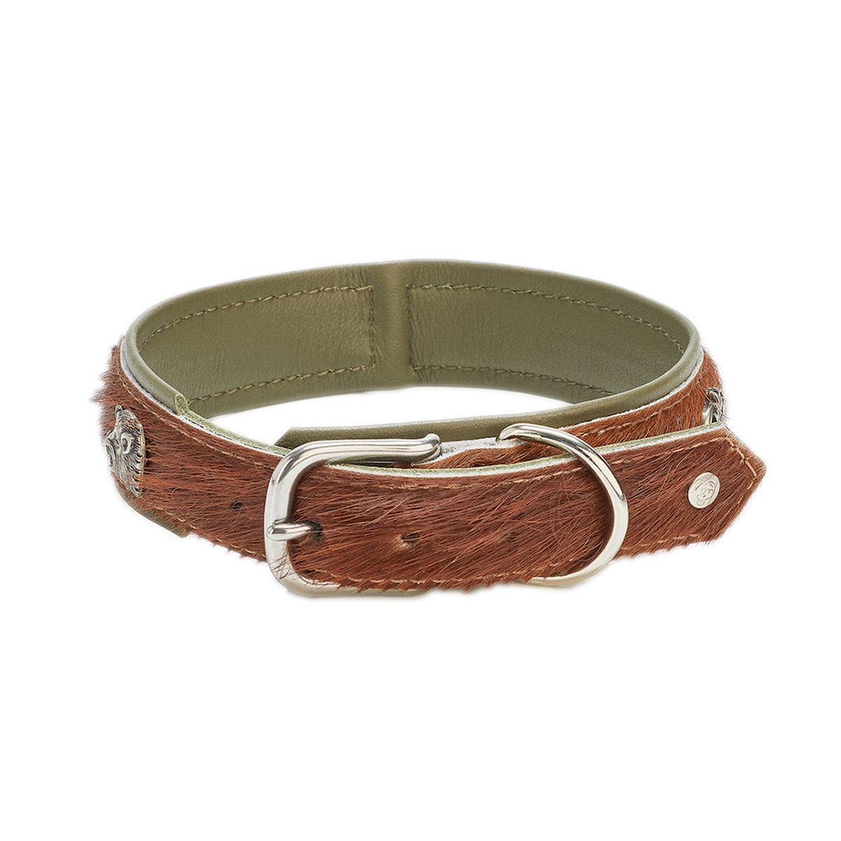 Collier pour chien en cuir décoré - SWISS - Kasibe