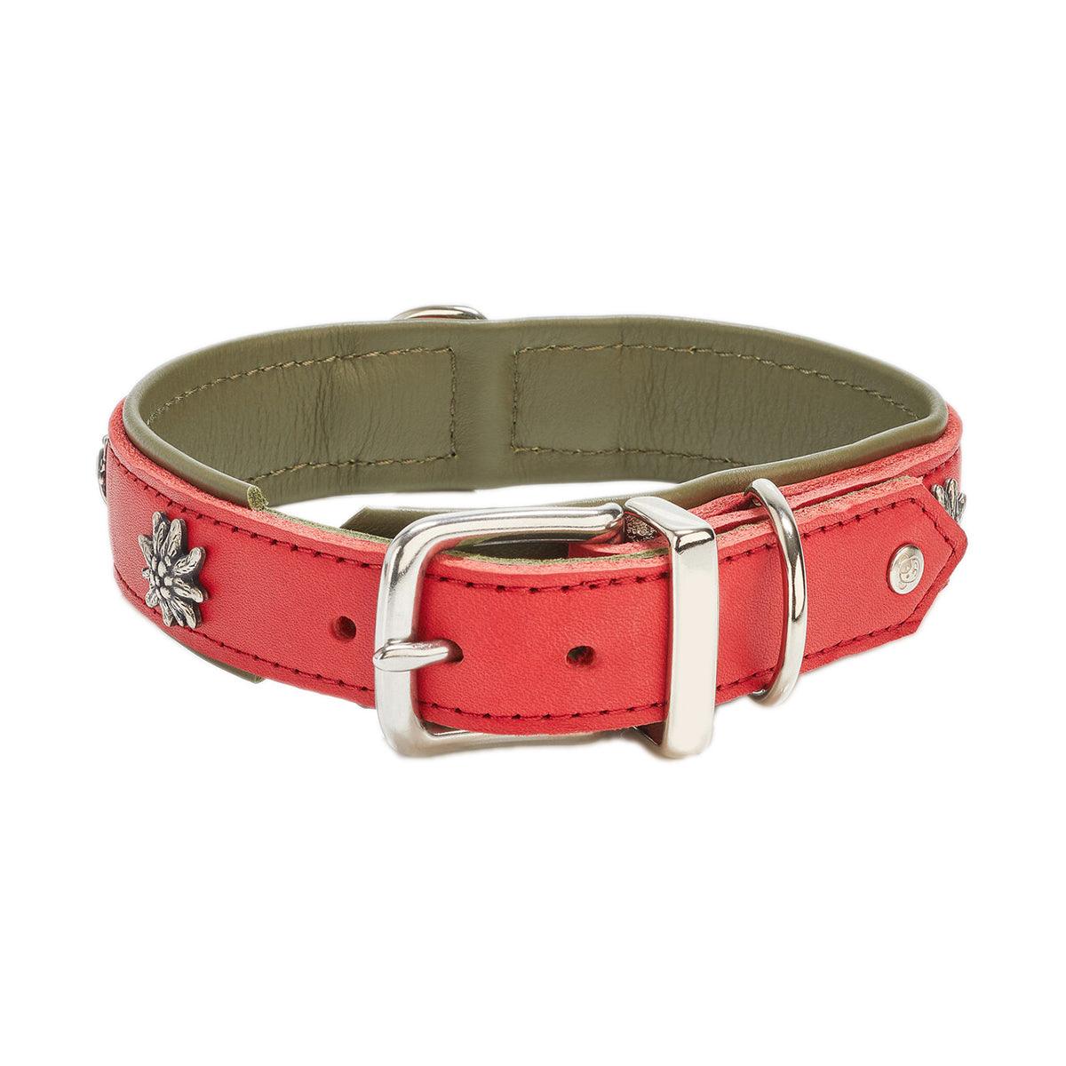Collier pour chien en cuir décoré - SWISS - Kasibe