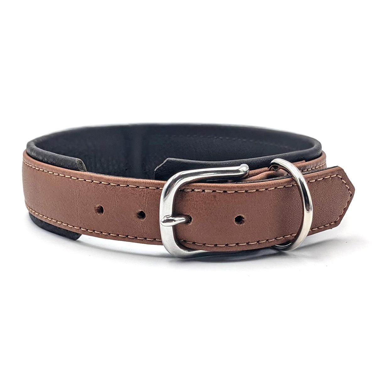 Collier pour chien en cuir large - AMICI - Kasibe