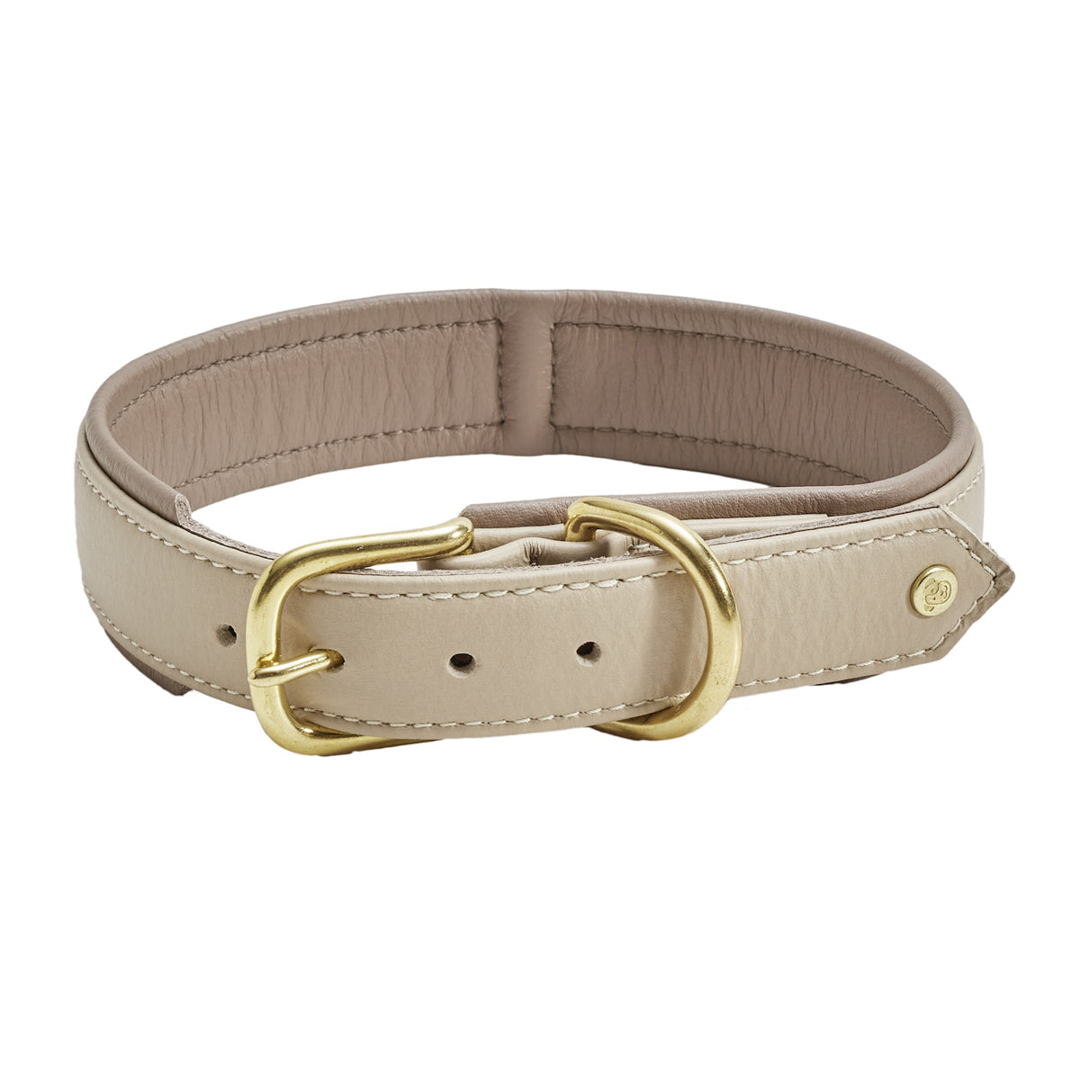 Collier pour chien en cuir large - AMICI - Kasibe
