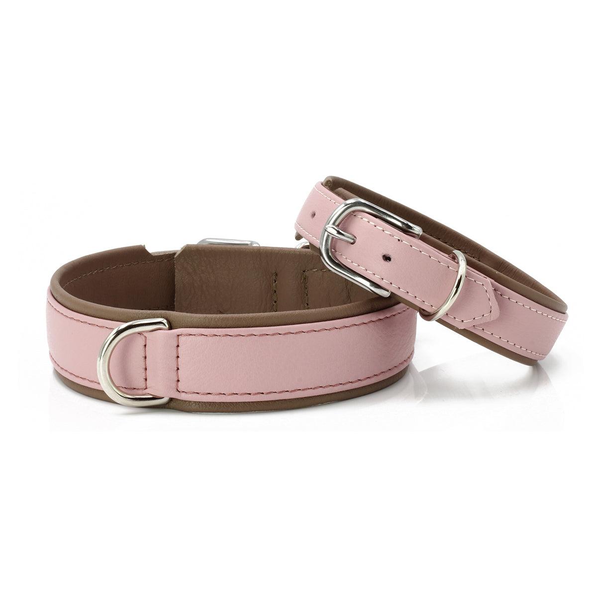 Collier pour chien en cuir large - AMICI - Kasibe