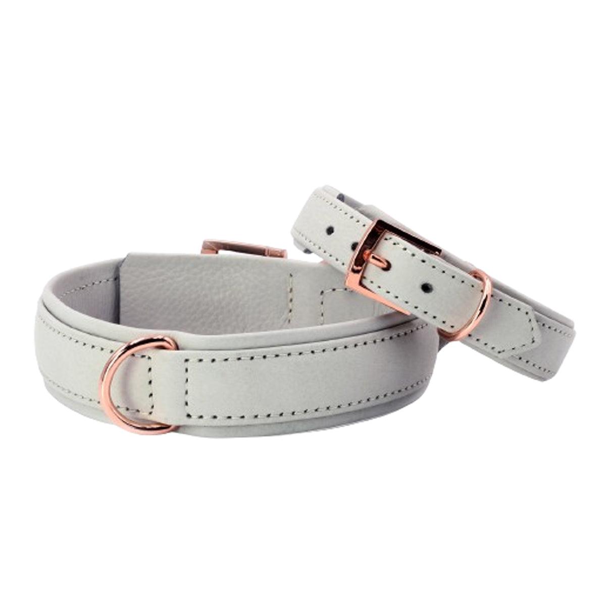 Collier pour chien en cuir large - AMICI - Kasibe