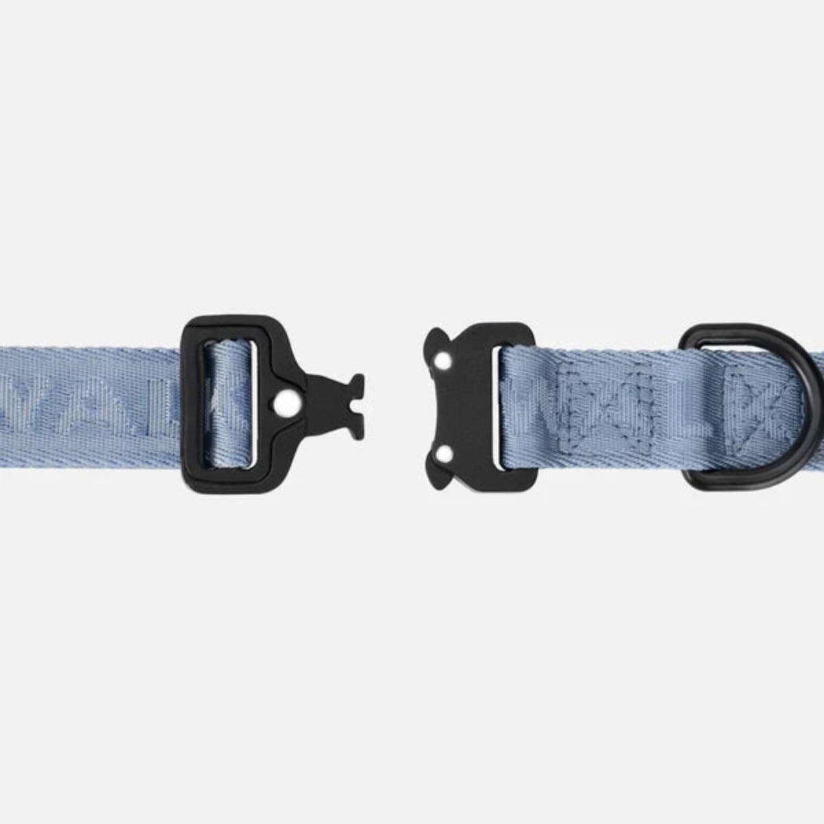 Collier pour chien en nylon - APEX - Kasibe