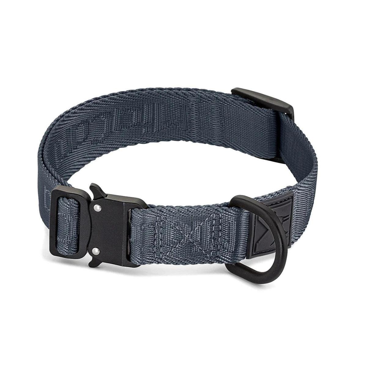 Collier pour chien en nylon - MODENA - Kasibe