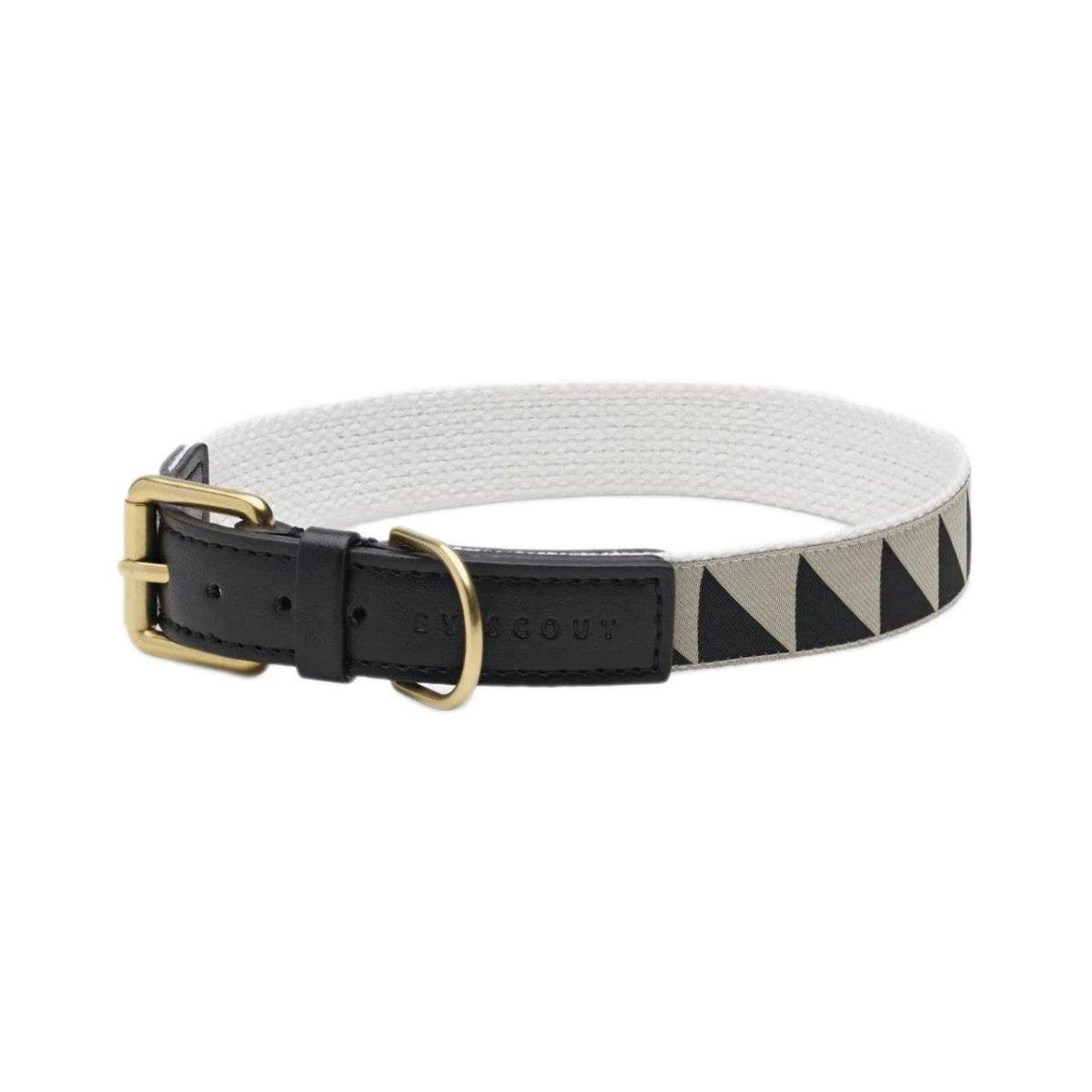 Collier pour chien haut de gamme - HEY SCOUT - Kasibe