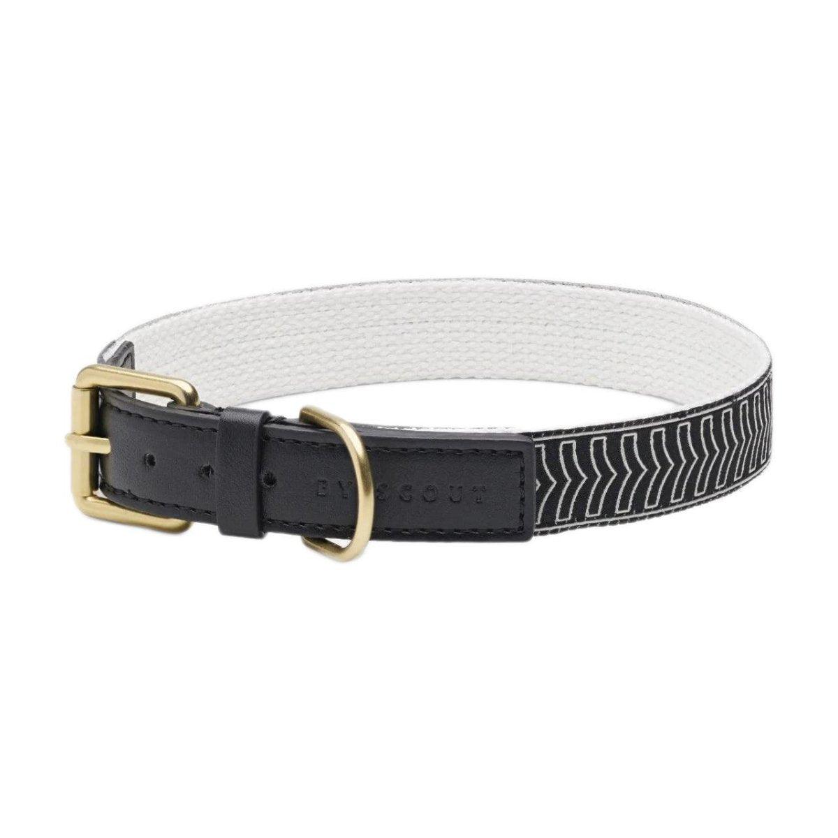 Collier pour chien haut de gamme - HEY SCOUT - Kasibe