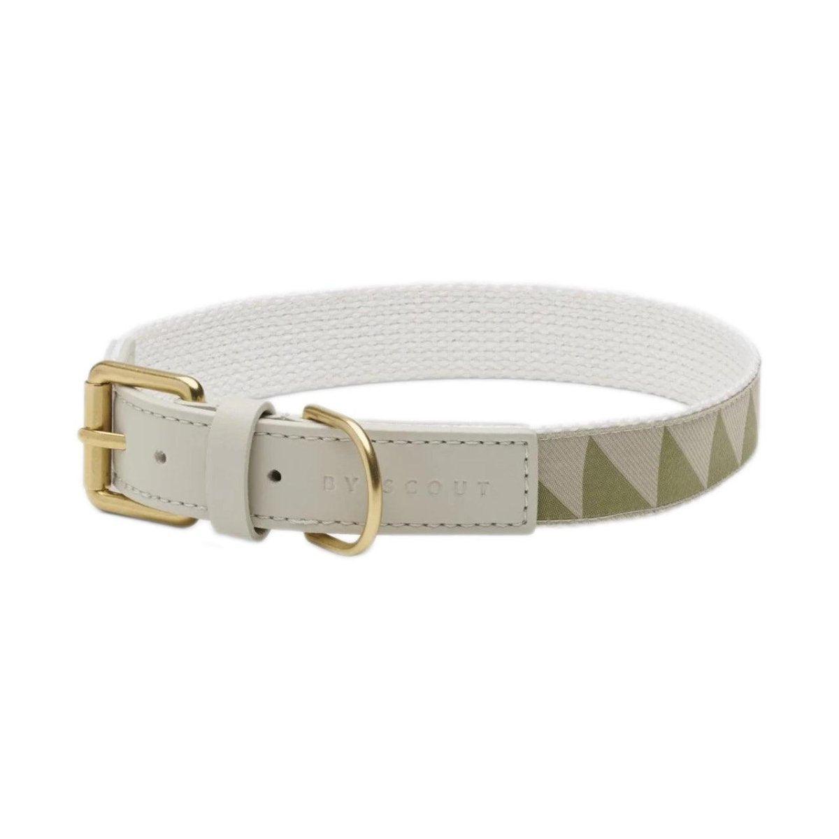 Collier pour chien haut de gamme - HEY SCOUT - Kasibe