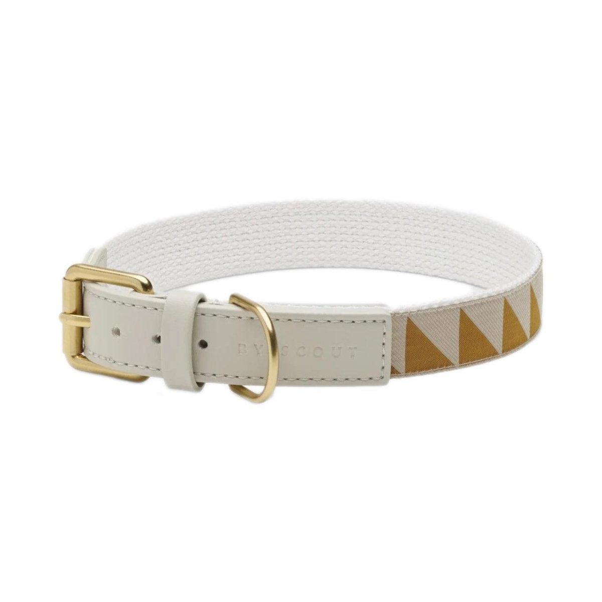 Collier pour chien haut de gamme - HEY SCOUT - Kasibe