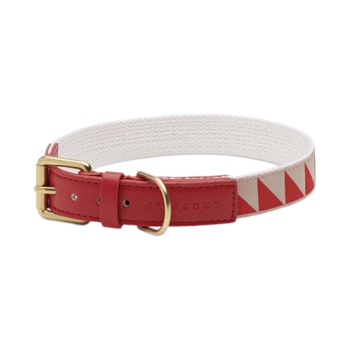 Collier pour chien haut de gamme - HEY SCOUT - Kasibe