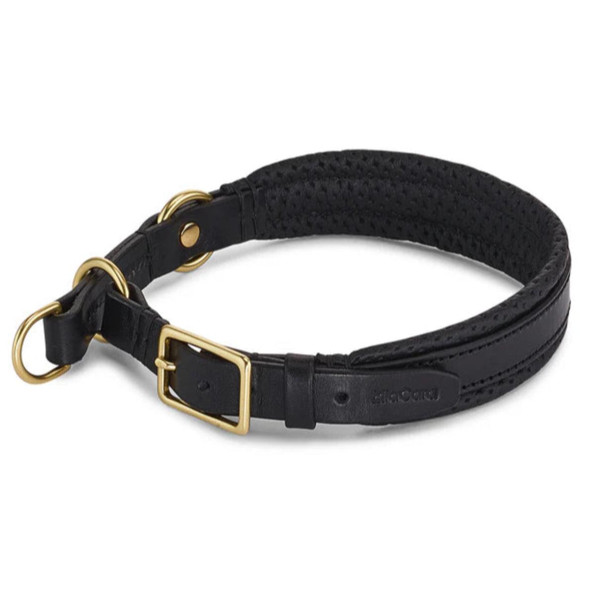 Collier pour chien original - FANO - Kasibe