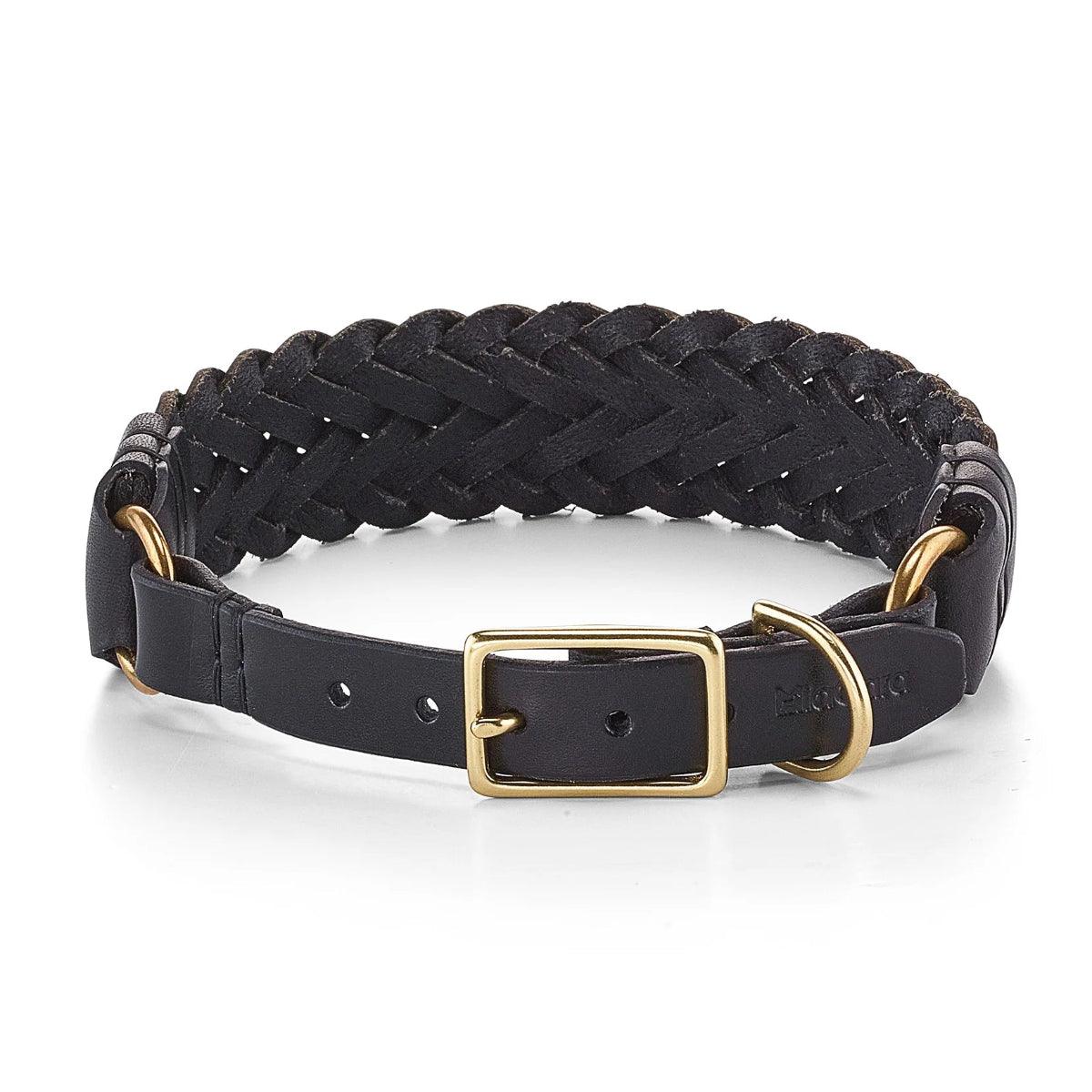 Collier pour chien tissé à la main - PALERMO - Kasibe