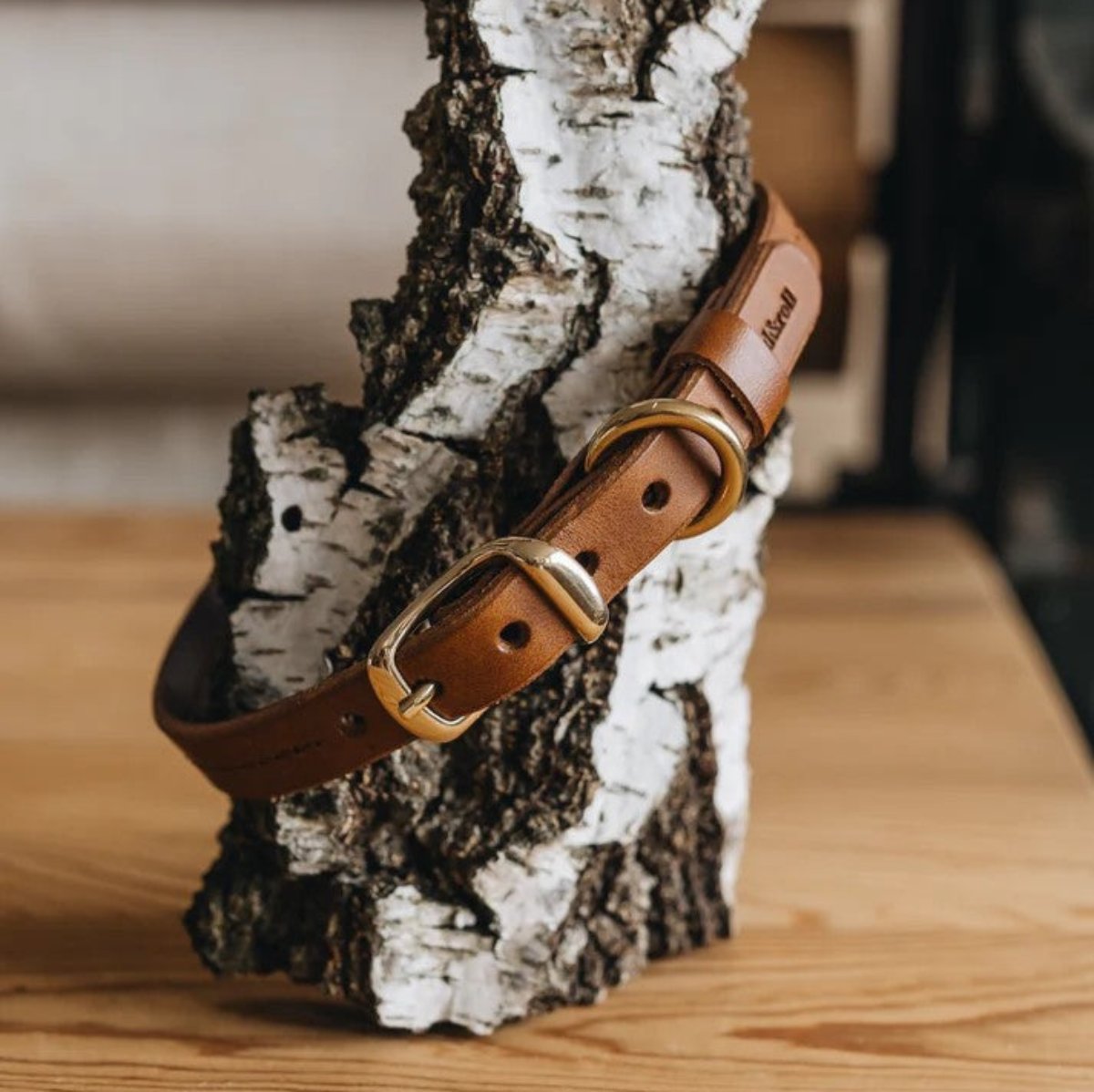 Collier pour petit chien - FIR AIR - Kasibe