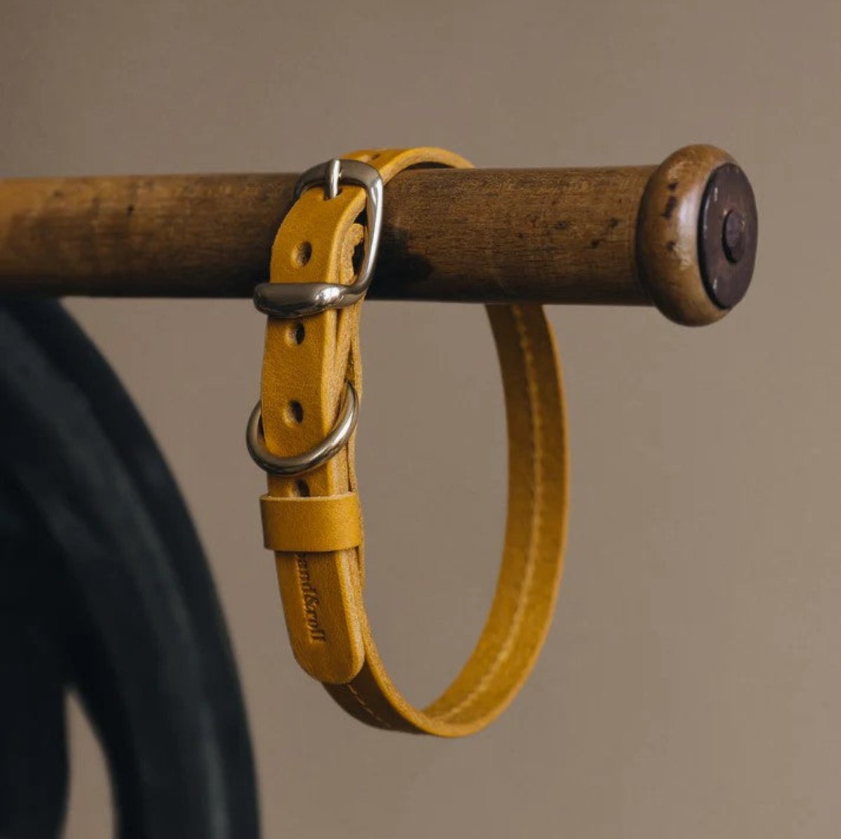 Collier pour petit chien - FIR AIR - Kasibe