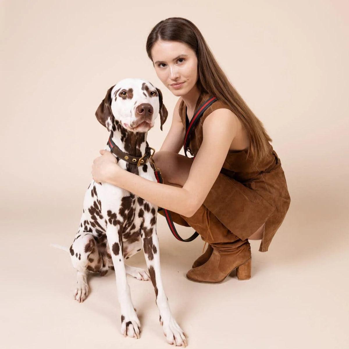 Colliers pour chiens de qualité - CHARLES & FLORENCE - Kasibe