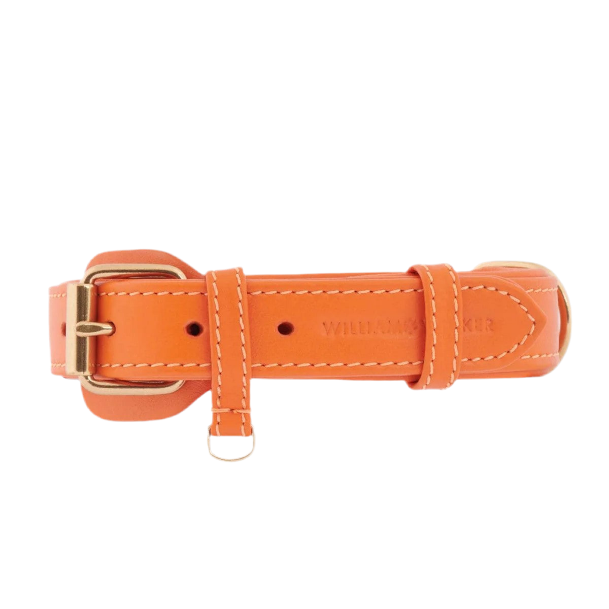Colliers pour chiens mode - PLAINE - Kasibe