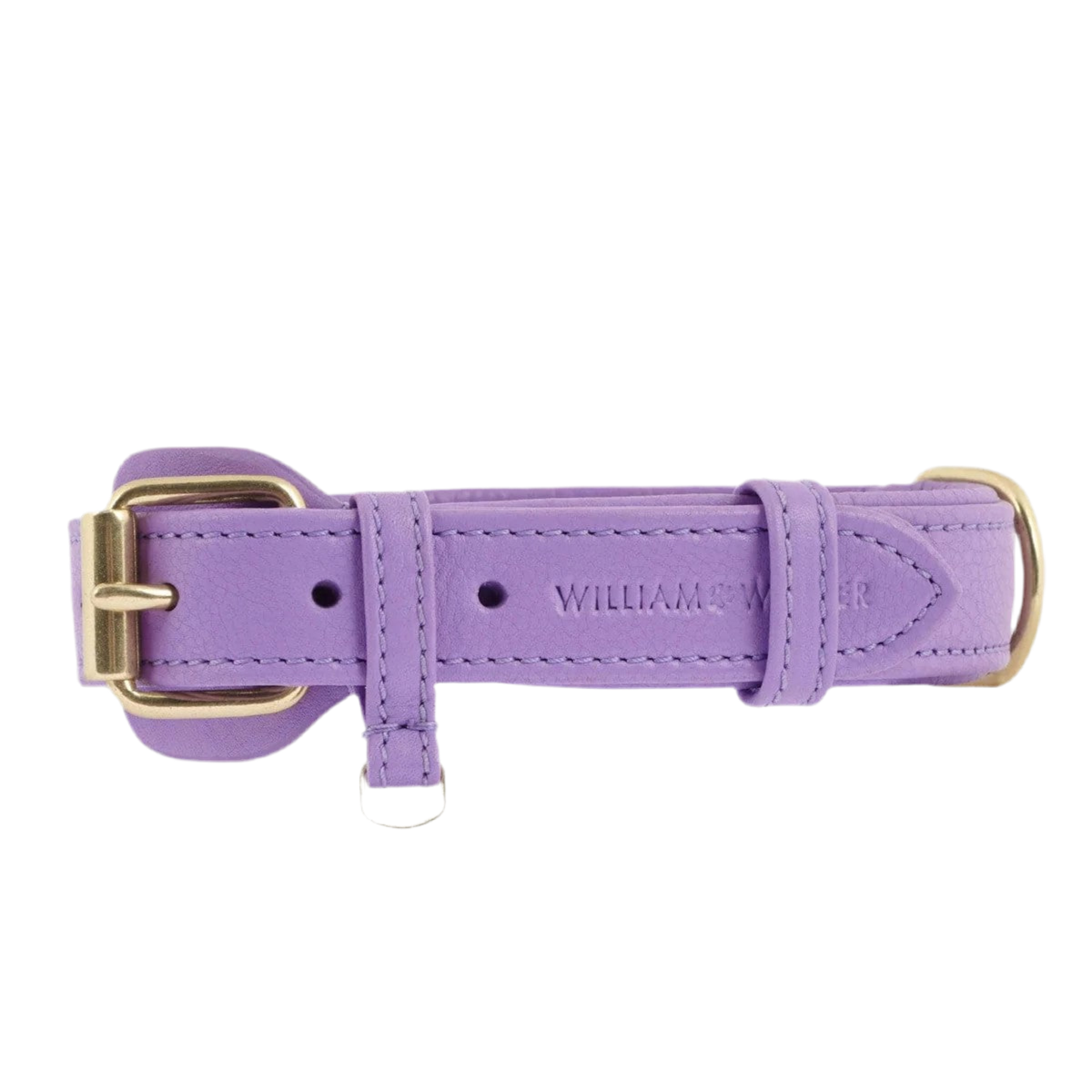Colliers pour chiens mode - PLAINE - Kasibe