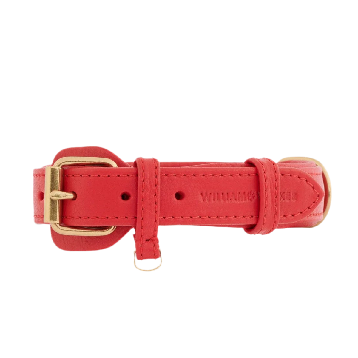 Colliers pour chiens mode - PLAINE - Kasibe