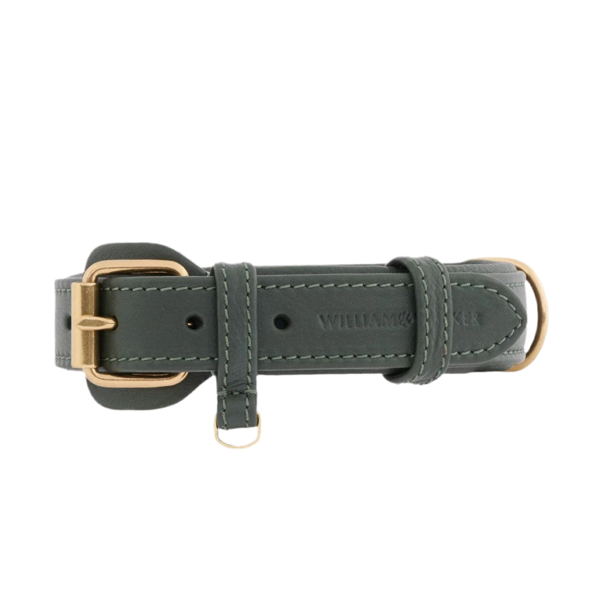 Colliers pour chiens mode - PLAINE - Kasibe