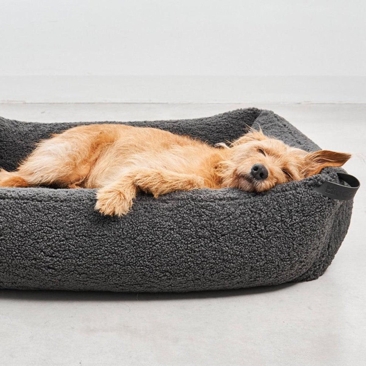 Couchage pour chien confortable - SENSO - Kasibe