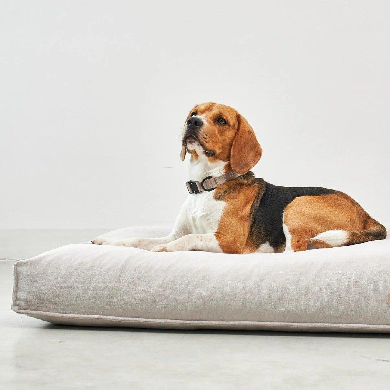 Coussin apaisant pour chien - COMODO - Kasibe
