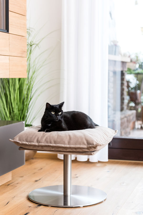 Un coussin pour chat très design, Poet, un lit pour chat flottant - kasibe
