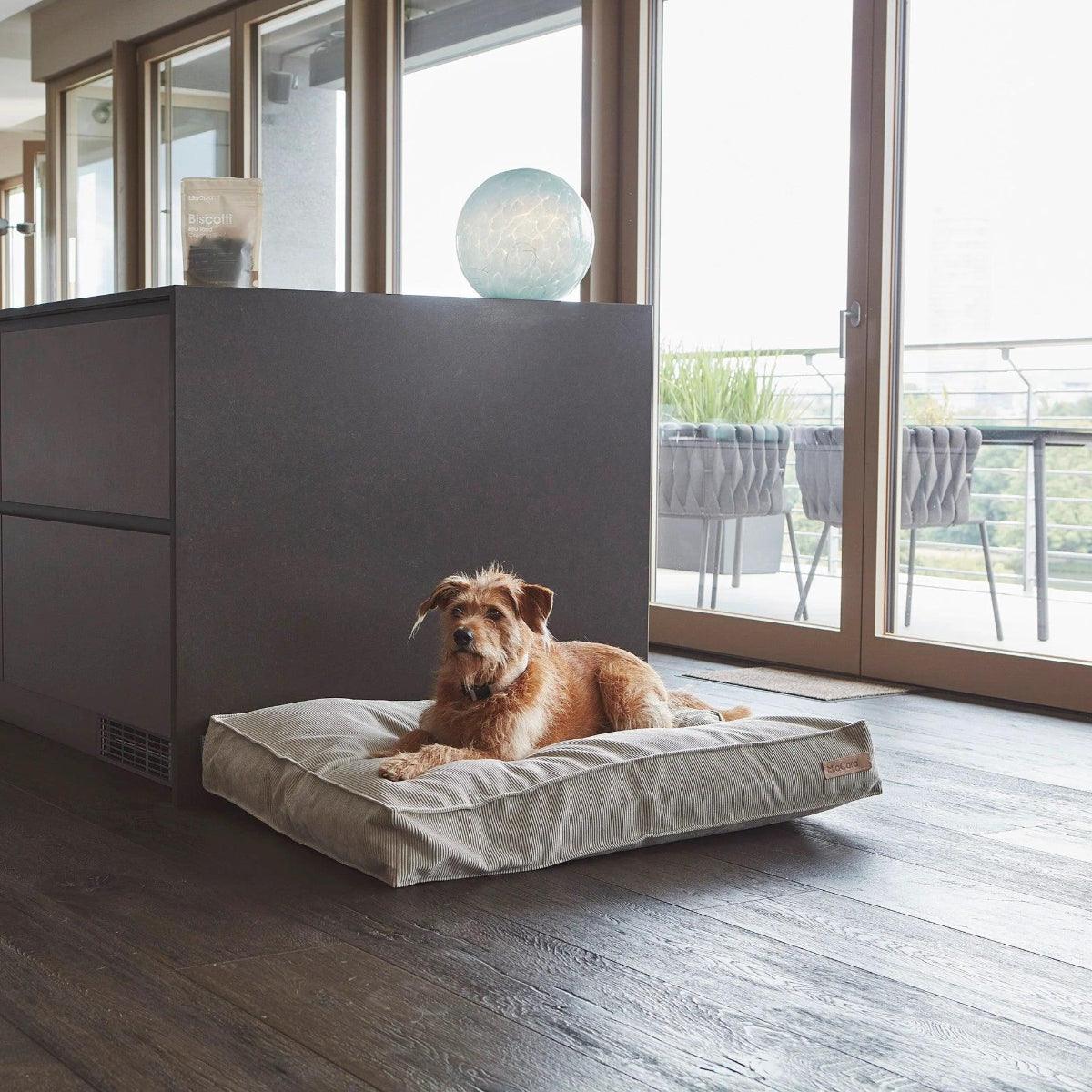 Cordo, un coussin design pour chien au tissu corde - kasibe