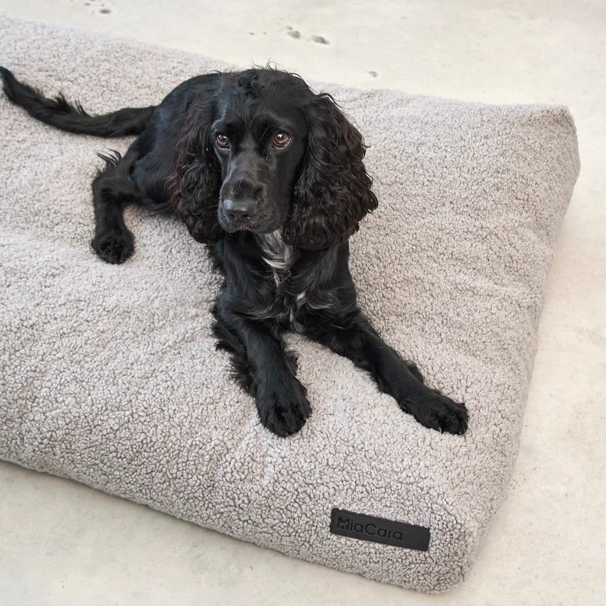 housse de coussin pour chien senso grise miacara - kasibe