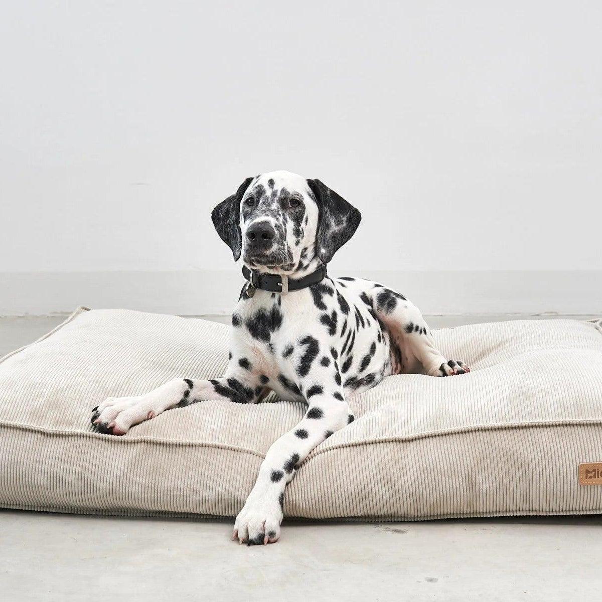 Housse coussin pour chien en velours côtelé - CORDO - kasibe
