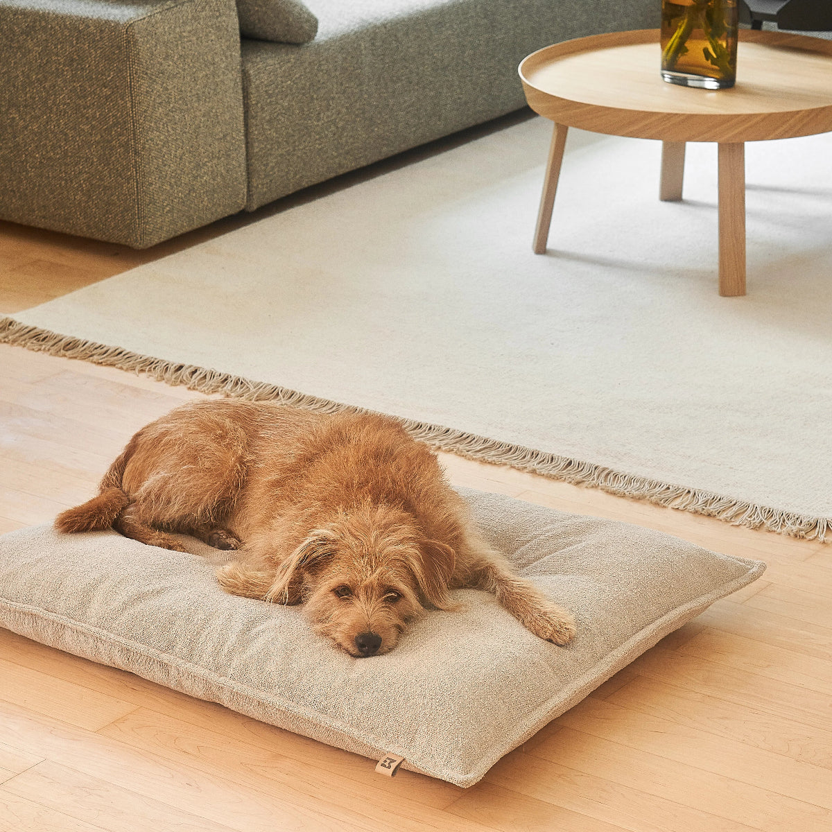 coussin orthopédique pour chien de luxe beige - kasibe