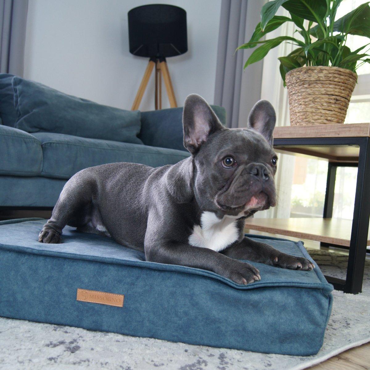 coussin orthopédique pour chien - GLAMOUR - Kasibe