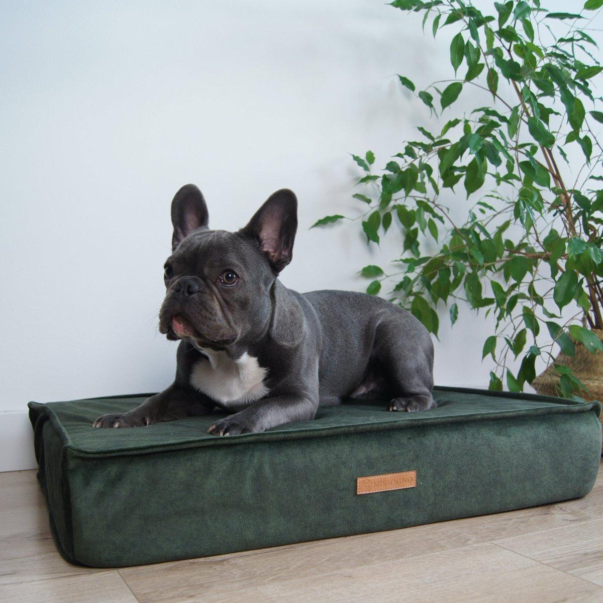 coussin orthopédique pour chien - GLAMOUR - Kasibe