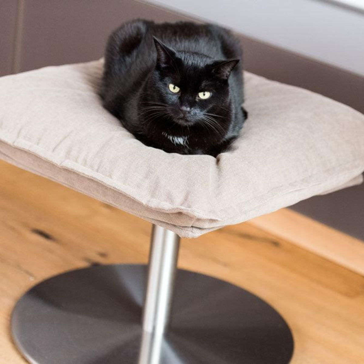 Coussin pour chat design - POET - Kasibe
