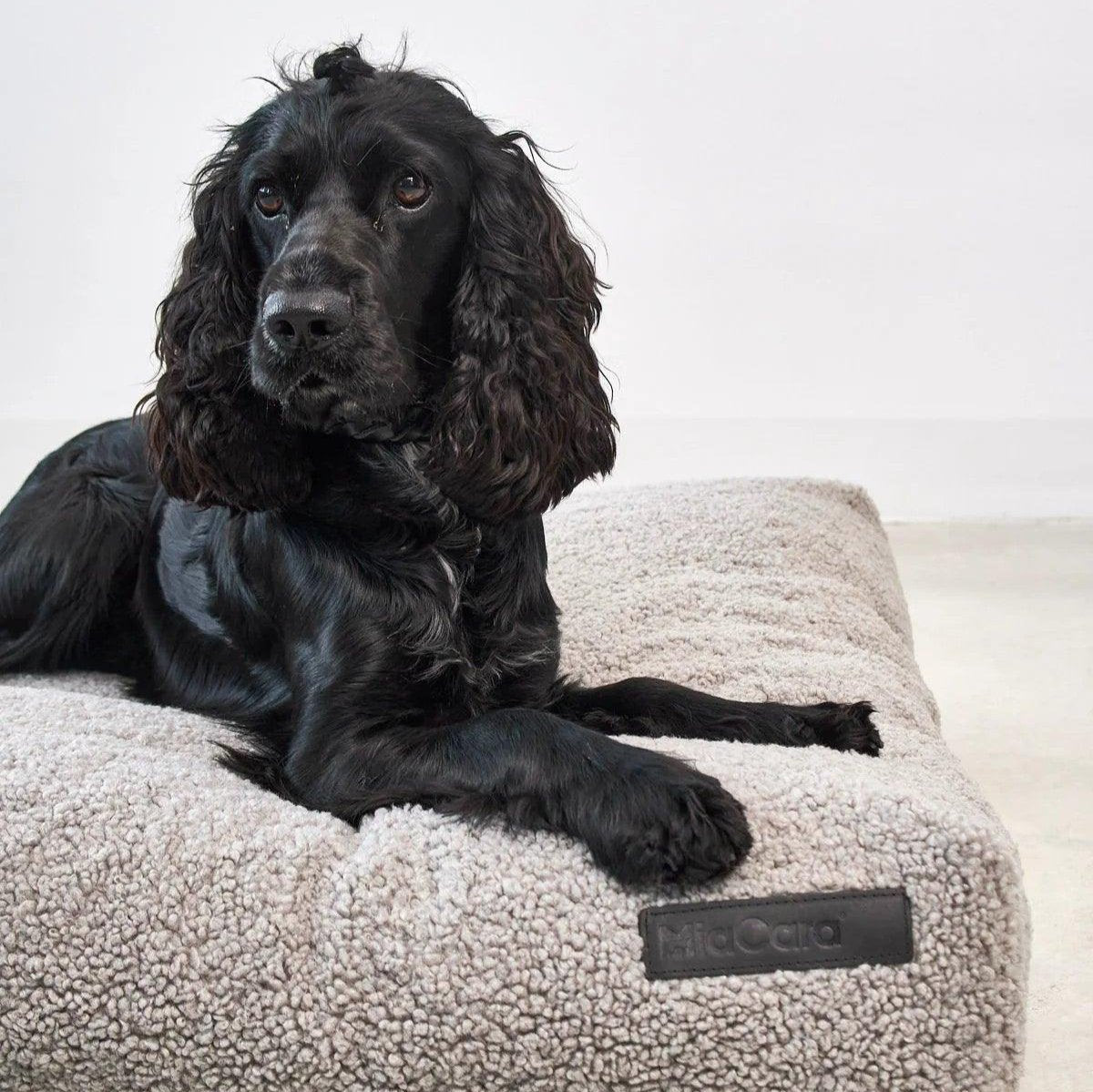 Coussin pour chien déhoussable - SENSO - Kasibe