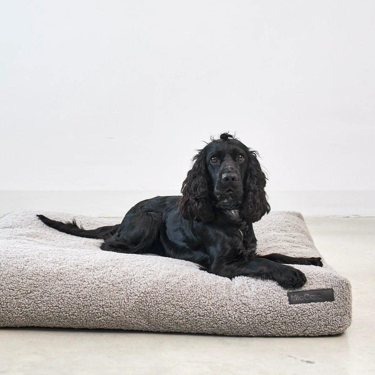 Coussin pour chien déhoussable - SENSO - Kasibe
