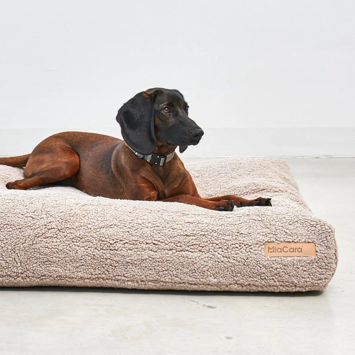 Coussin pour chien déhoussable - SENSO - Kasibe