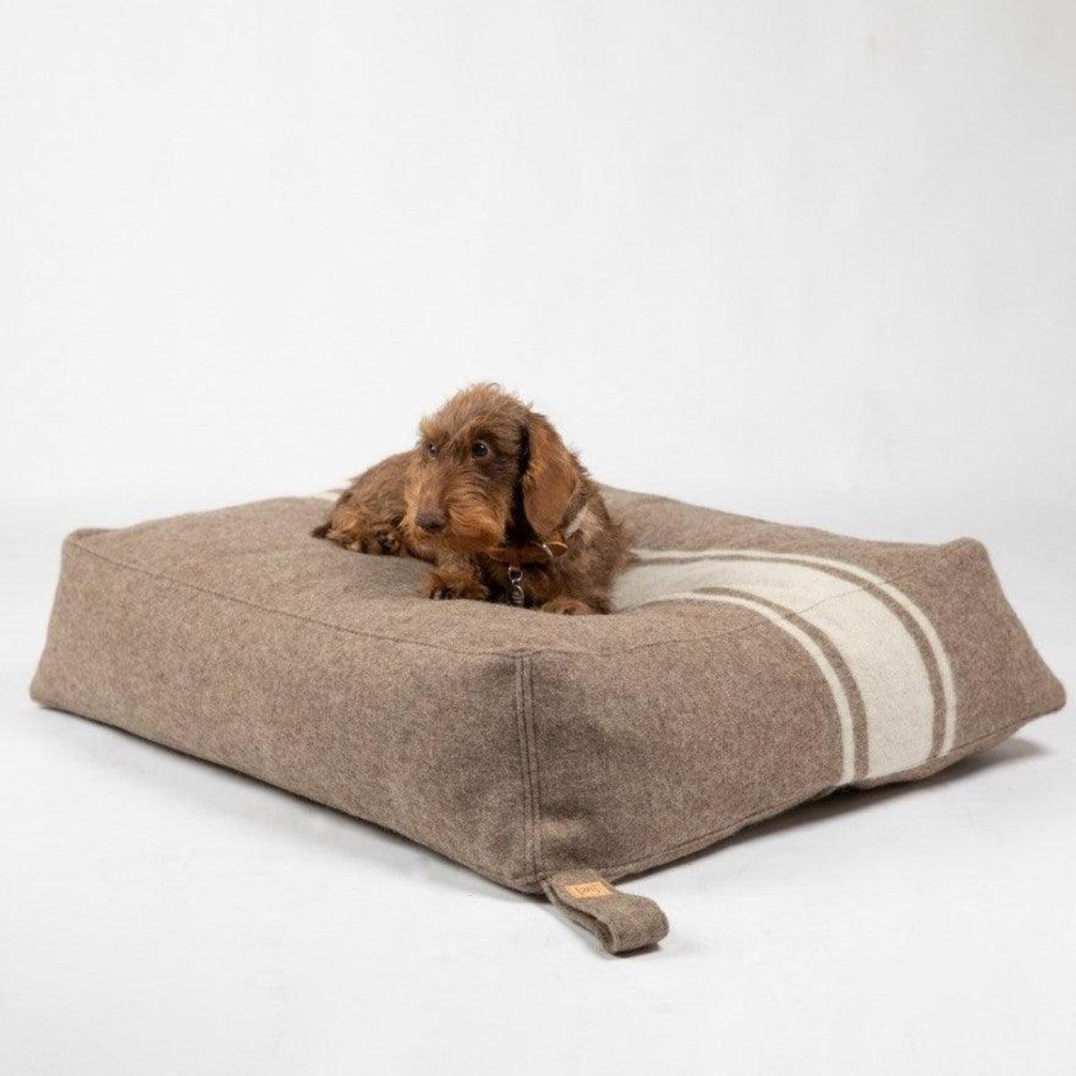 Coussin pour chien en laine - YOUSUF LAINE - Kasibe