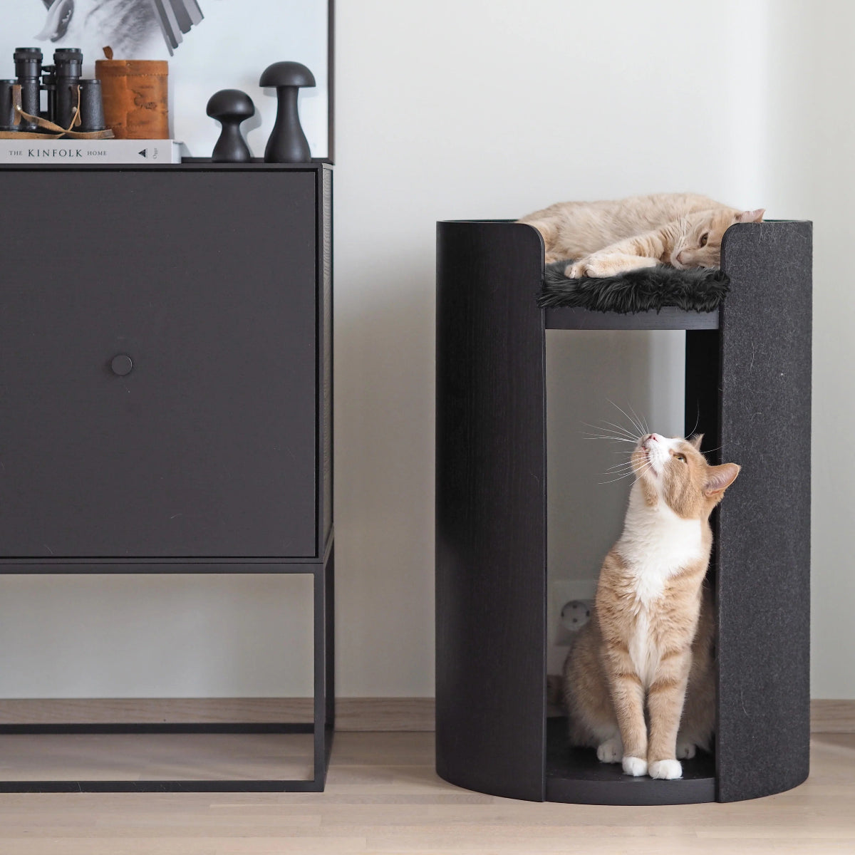 Coussin rond pour chat - TORRE - Kasibe