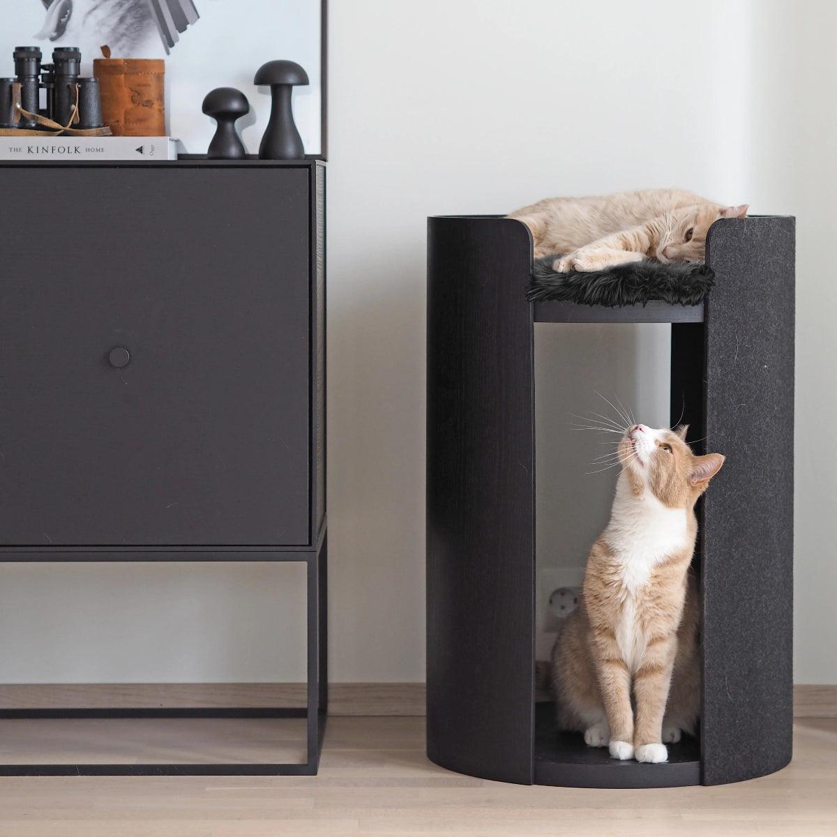 Coussin rond pour chat - TORRE - Kasibe