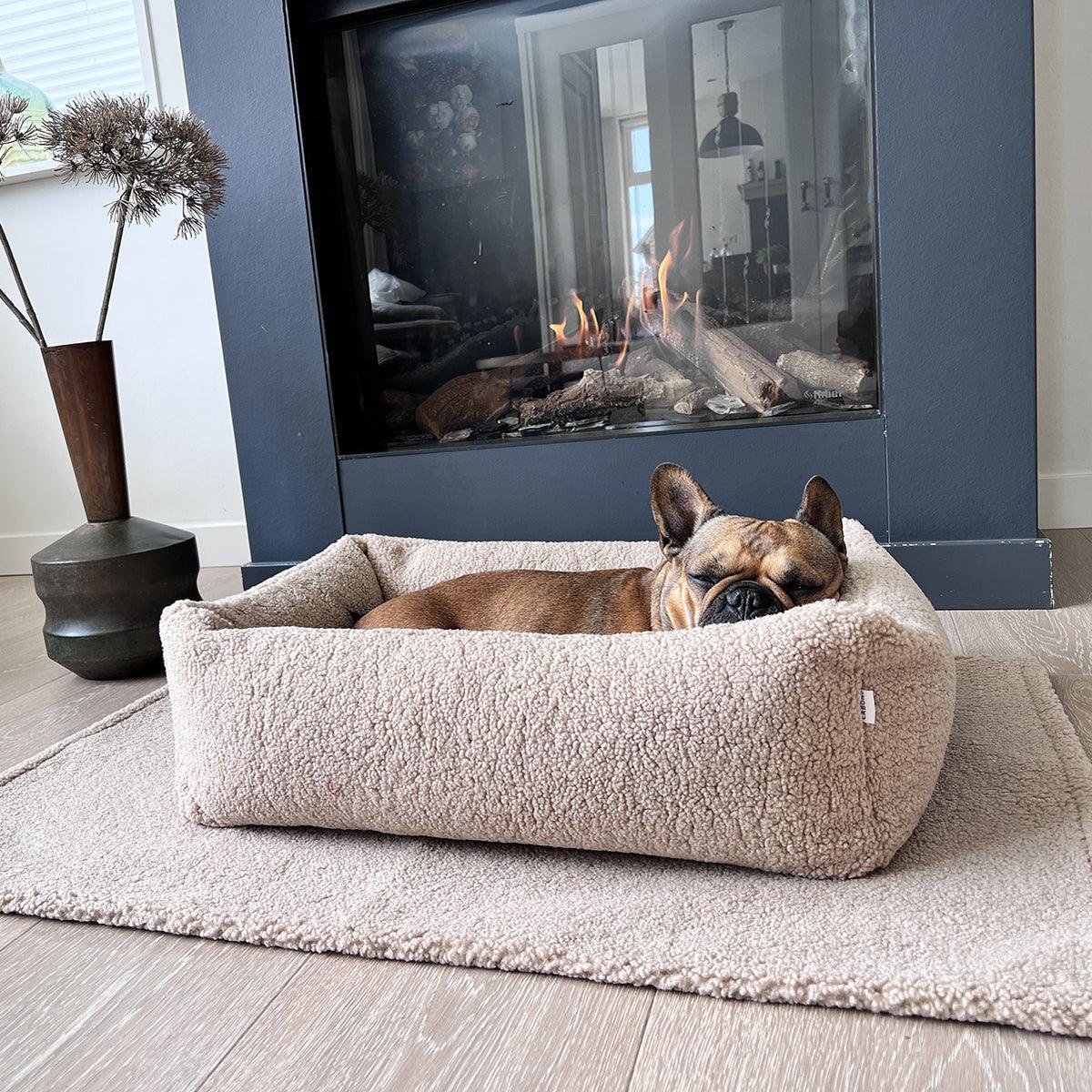 Couverture d'extérieur pour chien - TEDDY - Kasibe
