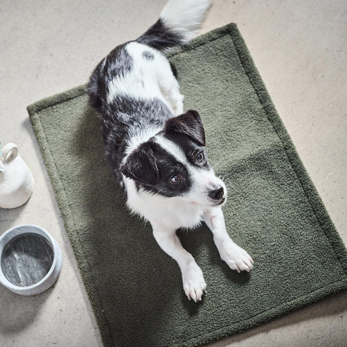 Couverture d'extérieur pour chien - TEDDY - Kasibe