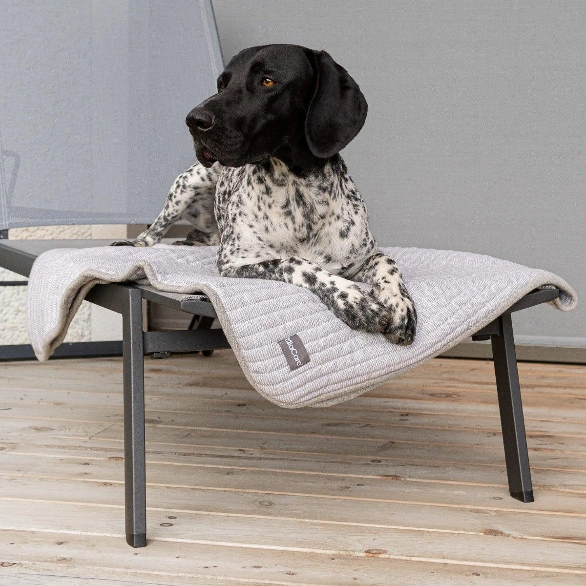 Couverture épaisse pour chien - ONDA - Kasibe