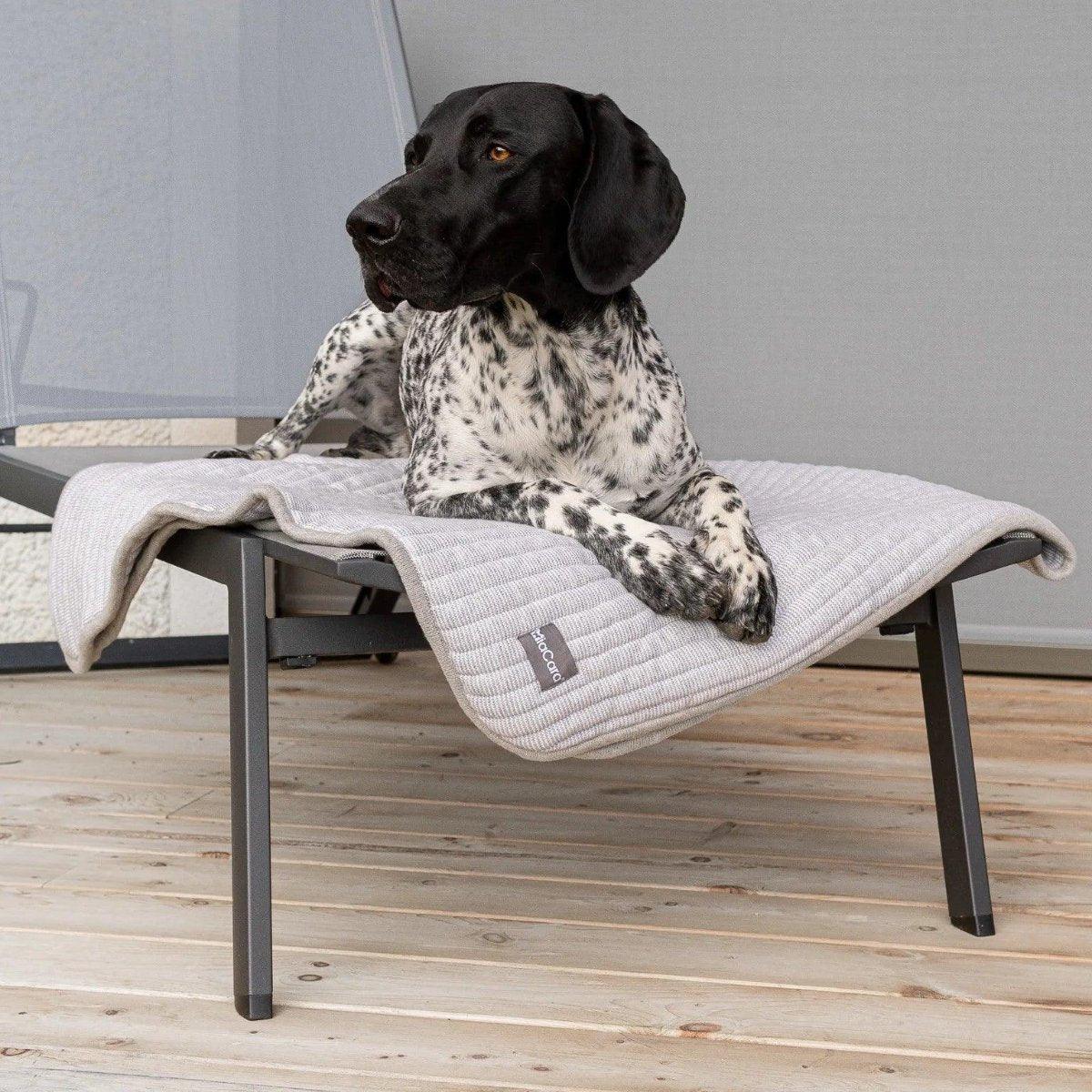 Couverture épaisse pour chien - ONDA - Kasibe