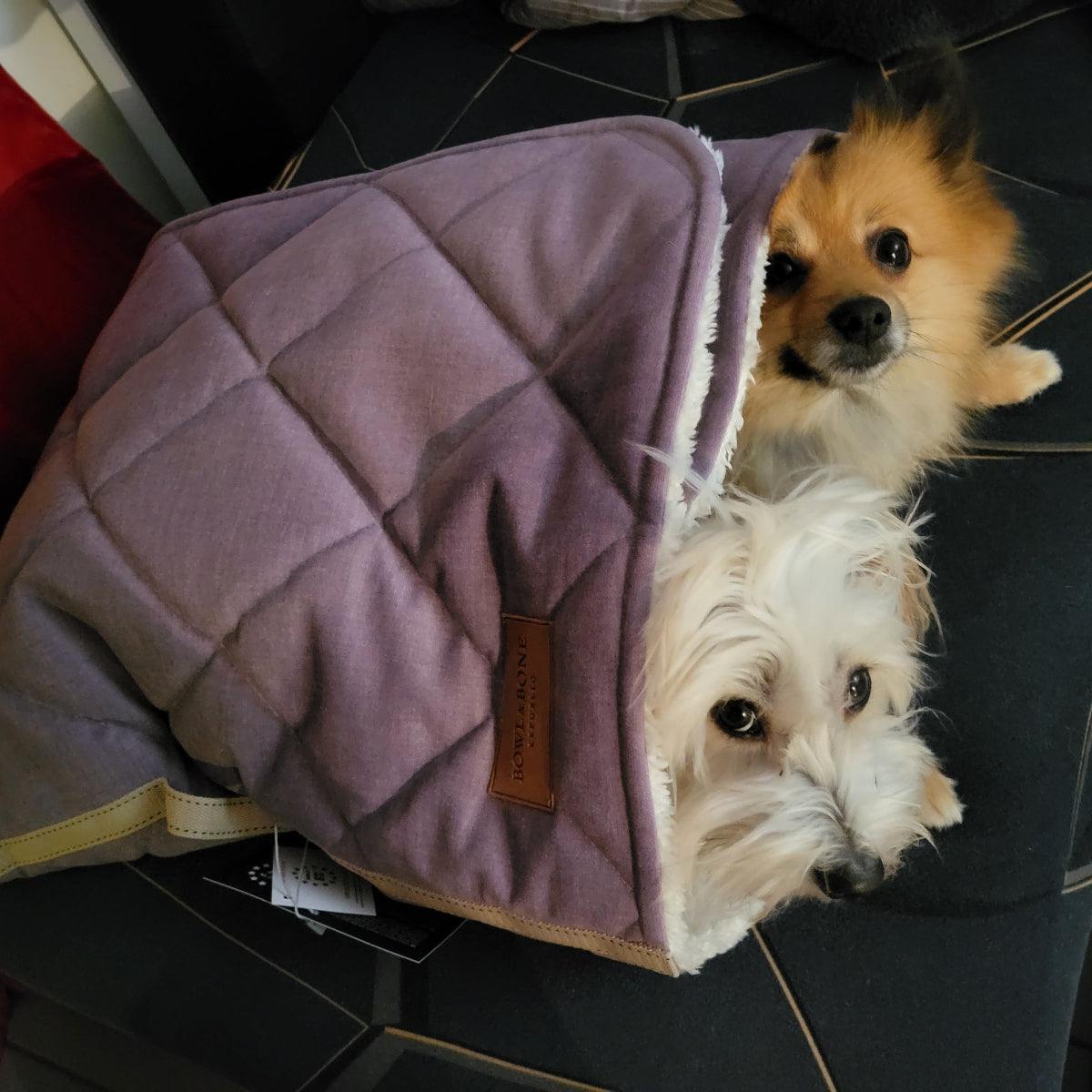Couverture pour chien gigoteuse - DREAMY - Kasibe