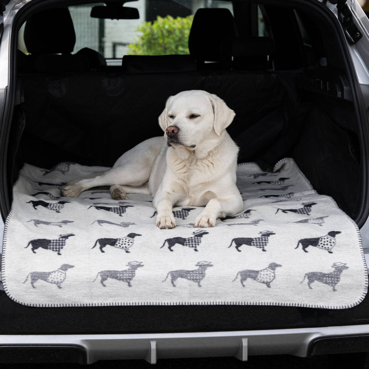 couverture pour chien teckel voiture - kasibe