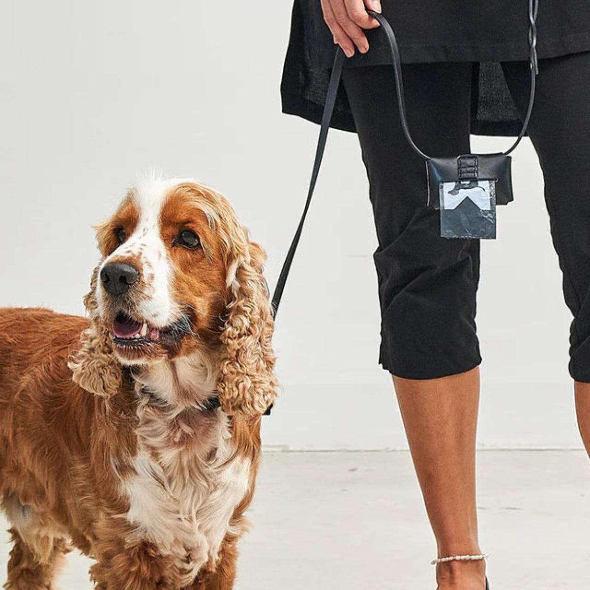 Distributeur de sac à crottes orignal - PISA - Kasibe